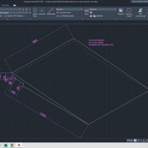 Olsens Group Custom Access Ramp
